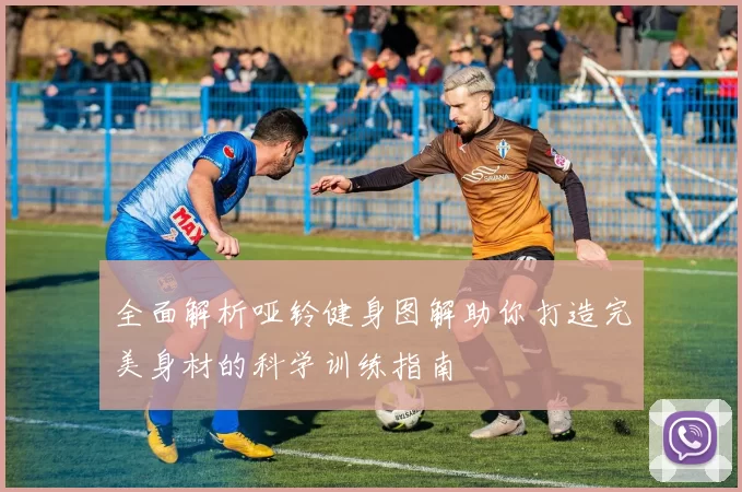 全面解析哑铃健身图解助你打造完美身材的科学训练指南