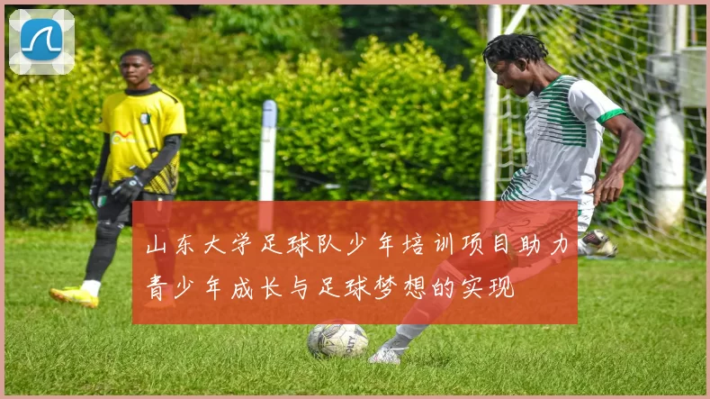 山东大学足球队少年培训项目助力青少年成长与足球梦想的实现
