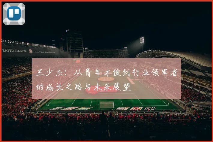 王少杰：从青年才俊到行业领军者的成长之路与未来展望
